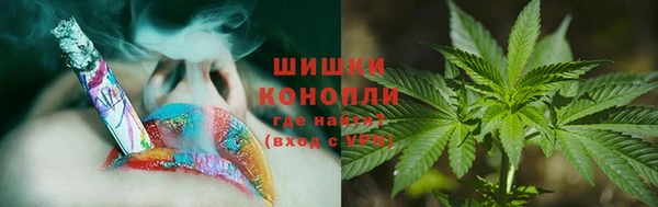 прущие крисы Алзамай