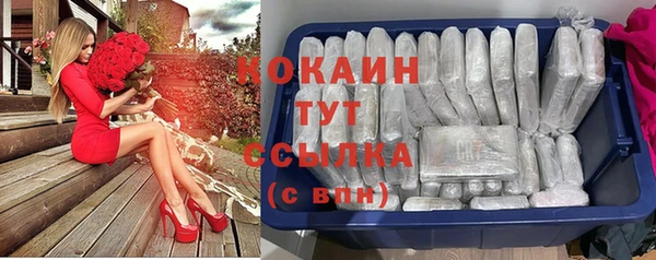 прущие крисы Алзамай
