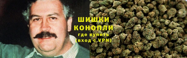 прущие крисы Алзамай