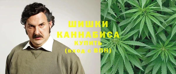 прущие крисы Алзамай