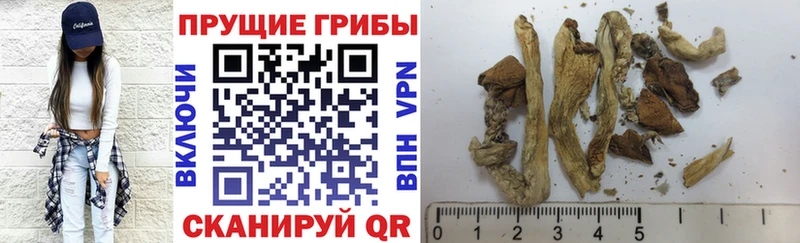 Галлюциногенные грибы MAGIC MUSHROOMS  Цимлянск 